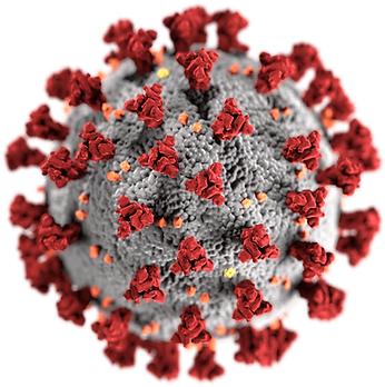 Z3D's response to the COVID-19 Pandemic